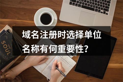 域名注册时选择单位名称有何重要性?