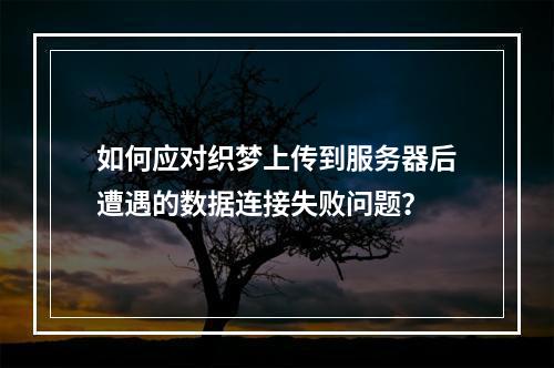 如何应对织梦上传到服务器后遭遇的数据连接失败问题?