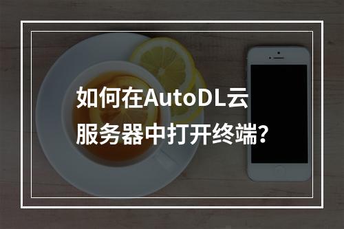 如何在AutoDL云服务器中打开终端？