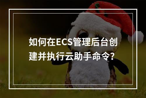 如何在ECS管理后台创建并执行云助手命令？