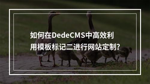 如何在DedeCMS中高效利用模板标记二进行网站定制?
