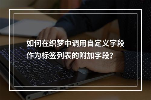 如何在织梦中调用自定义字段作为标签列表的附加字段?