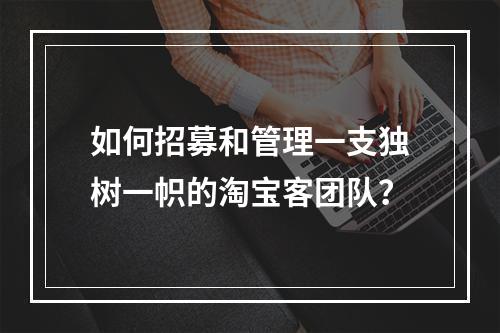 如何招募和管理一支独树一帜的淘宝客团队?