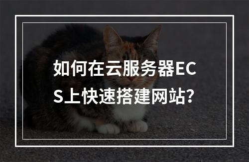 如何在云服务器ECS上快速搭建网站？