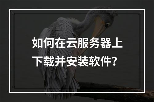 如何在云服务器上下载并安装软件？