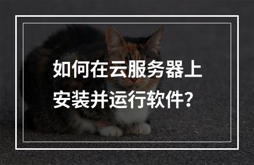 如何在云服务器上安装并运行软件？