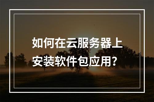 如何在云服务器上安装软件包应用？