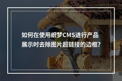 如何在使用织梦CMS进行产品展示时去除图片超链接的边框?