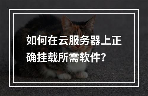 如何在云服务器上正确挂载所需软件？
