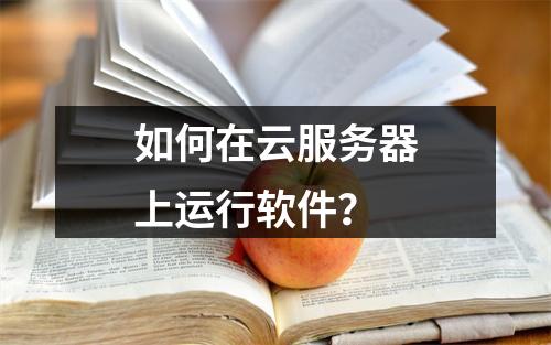 如何在云服务器上运行软件？