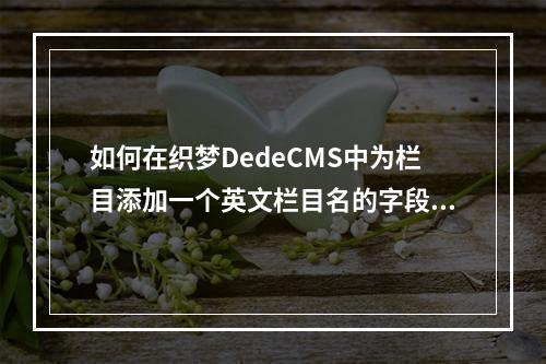 如何在织梦DedeCMS中为栏目添加一个英文栏目名的字段?
