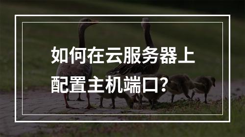 如何在云服务器上配置主机端口？