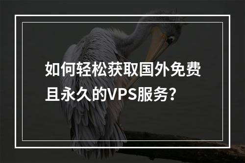 如何轻松获取国外免费且永久的VPS服务?
