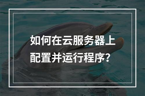 如何在云服务器上配置并运行程序？