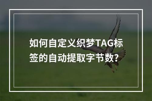 如何自定义织梦TAG标签的自动提取字节数?