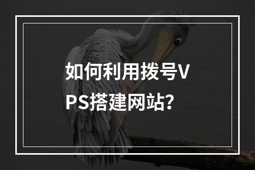 如何利用拨号VPS搭建网站?