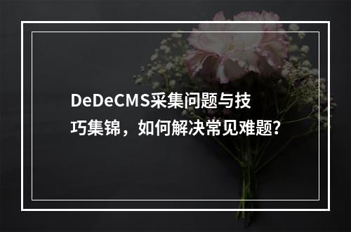 DeDeCMS采集问题与技巧集锦,如何解决常见难题?