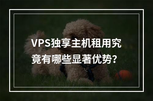 VPS独享主机租用究竟有哪些显著优势?