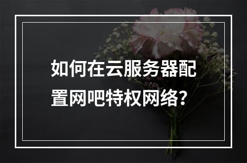 如何在云服务器配置网吧特权网络？