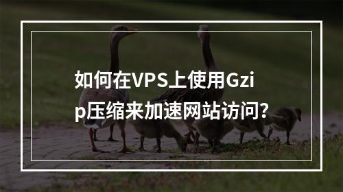 如何在VPS上使用Gzip压缩来加速网站访问?