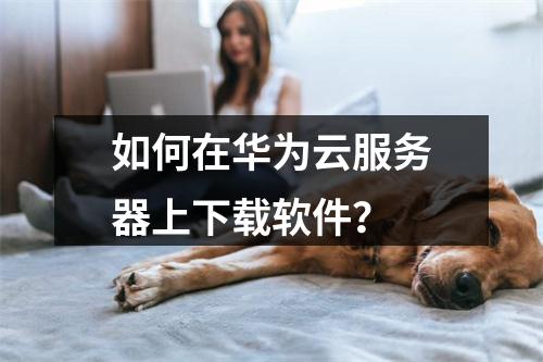 如何在华为云服务器上下载软件？