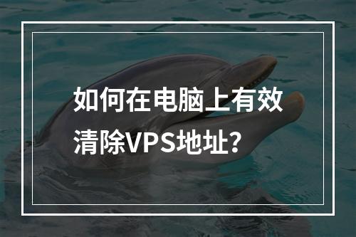 如何在电脑上有效清除VPS地址?