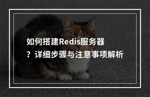 如何搭建Redis服务器?详细步骤与注意事项解析