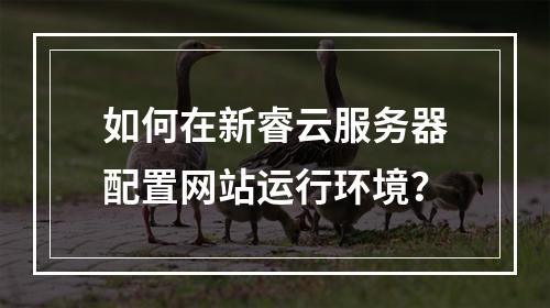 如何在新睿云服务器配置网站运行环境？