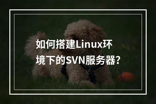 如何搭建Linux环境下的SVN服务器?