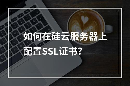 如何在硅云服务器上配置SSL证书？