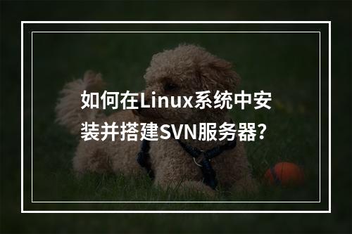 如何在Linux系统中安装并搭建SVN服务器?