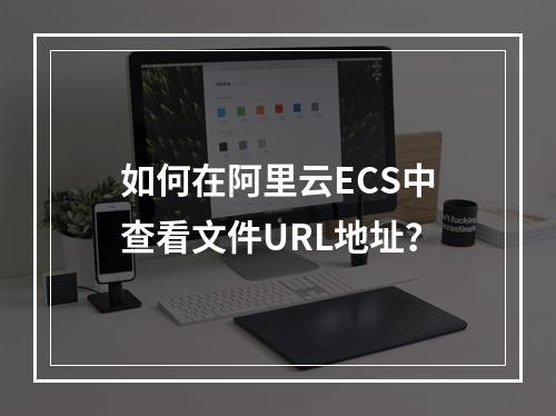 如何在阿里云ECS中查看文件URL地址？