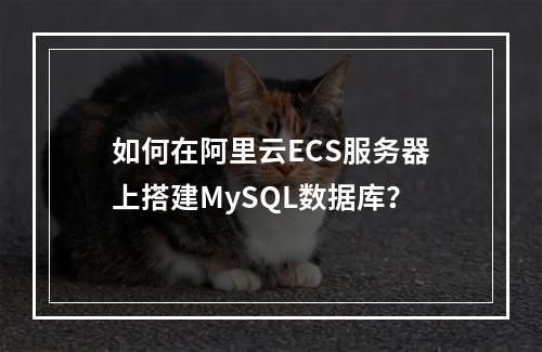 如何在阿里云ECS服务器上搭建MySQL数据库？