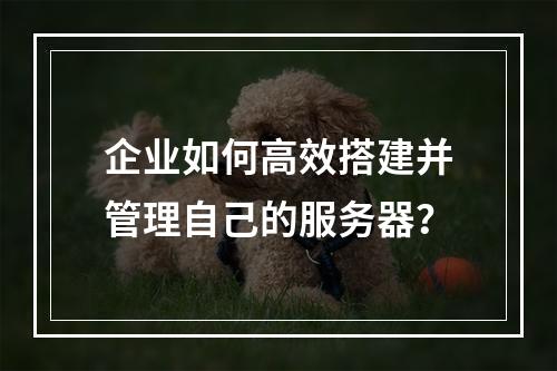 企业如何高效搭建并管理自己的服务器?