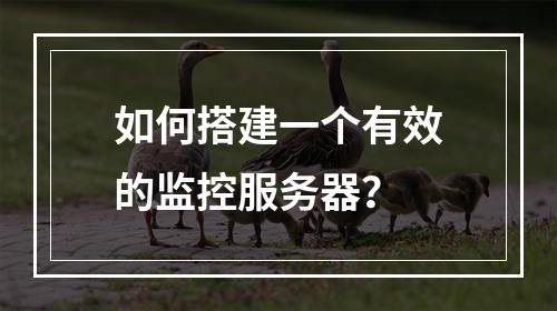 如何搭建一个有效的监控服务器?