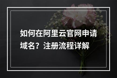 如何在阿里云官网申请域名？注册流程详解