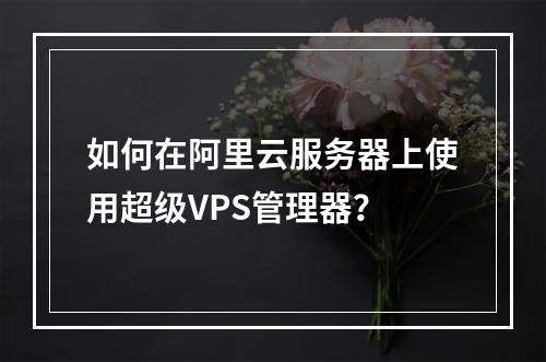 如何在阿里云服务器上使用超级VPS管理器？