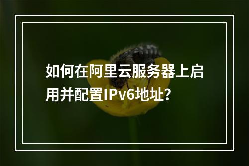 如何在阿里云服务器上启用并配置IPv6地址？