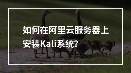 如何在阿里云服务器上安装Kali系统？