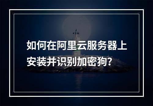 如何在阿里云服务器上安装并识别加密狗？