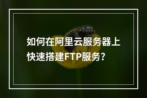 如何在阿里云服务器上快速搭建FTP服务？