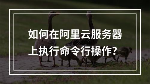 如何在阿里云服务器上执行命令行操作？
