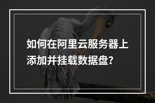 如何在阿里云服务器上添加并挂载数据盘？