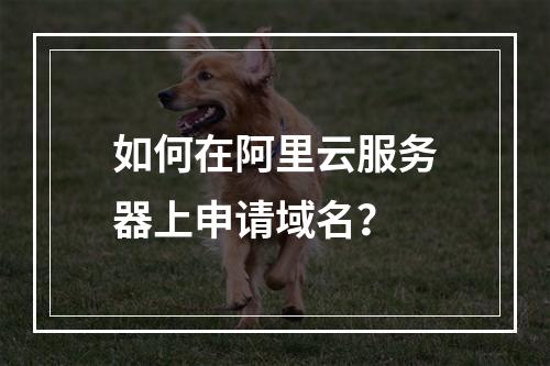 如何在阿里云服务器上申请域名？