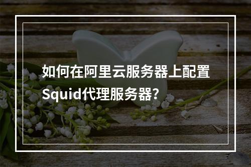 如何在阿里云服务器上配置Squid代理服务器？