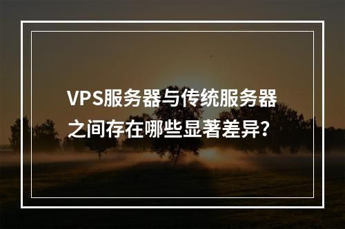 VPS服务器与传统服务器之间存在哪些显著差异?