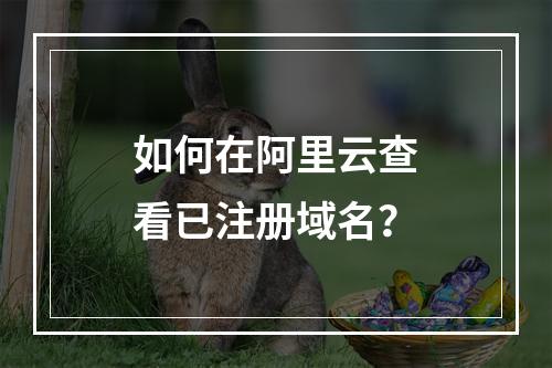 如何在阿里云查看已注册域名？