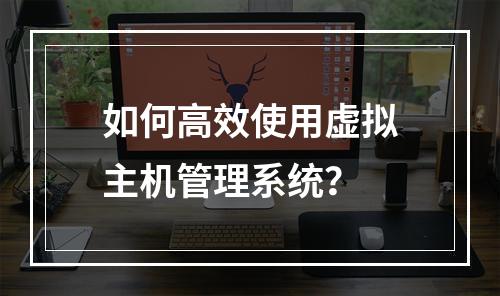 如何高效使用虚拟主机管理系统?