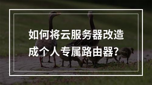 如何将云服务器改造成个人专属路由器？