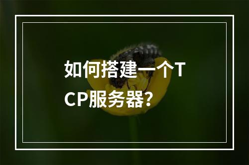 如何搭建一个TCP服务器?